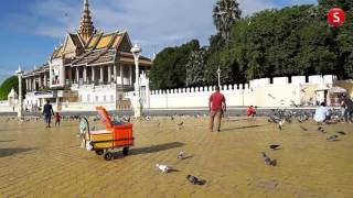 Morning Pigeons, Morning Royal Palace of Cambodia អរុណសួស្តីមុខវាំង និងសត្វព្រាប