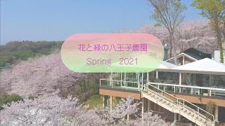 花と緑の八王子農園　Spring 2021 春　ドローン映像