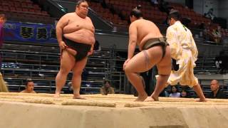 Sumo wrestling Division Six (jonokuchi division) March 24 2016 EDION Arena