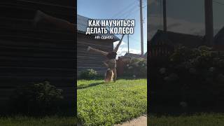 Как научиться делать колесо на одной руке🤸🏼‍♀️#растяжка #колесо #shorts #shortsvideo #шортс