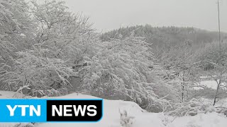 강원 산간 대설주의보...최고 20cm 눈 더 내릴 듯 / YTN