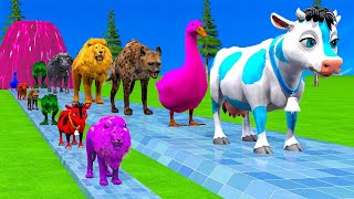 Paint \u0026 Animals Cow,Rabbit,Duck,Monkey,Hyena,Buffalo Fountain Crossing Transformation Animal Cartoon