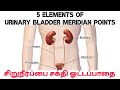 5 Elements of URINARY BLADDER Meridian points | Health Bites