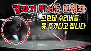 16120회. 어두운 밤 갑자기 뛰어든 보행자와 사고… 그런데 수리비를 절대 못 주겠다고 합니다. 민사 소송을 진행하려 하는데 도와주세요ㅜㅜ