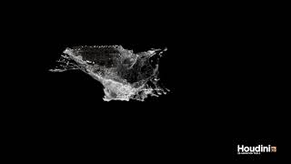 Houdini Flip Fluid Test