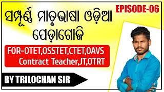 ସମ୍ପୂର୍ଣ୍ଣ ମାତୃଭାଷା ଓଡ଼ିଆ ପେଡଗୋଜି !! Class-06 !! Complete Odia Pedagogy For-OTET,OSSTET,OAVS,JT,CTET