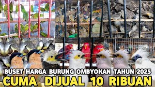 BUSET SEMURAH INI HARGA BURUNG OMBYOKAN DARI 10 RIBUAN DI PASAR BURUNG PRAMUKA