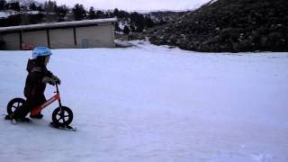 Snow Strider Ski Accessory