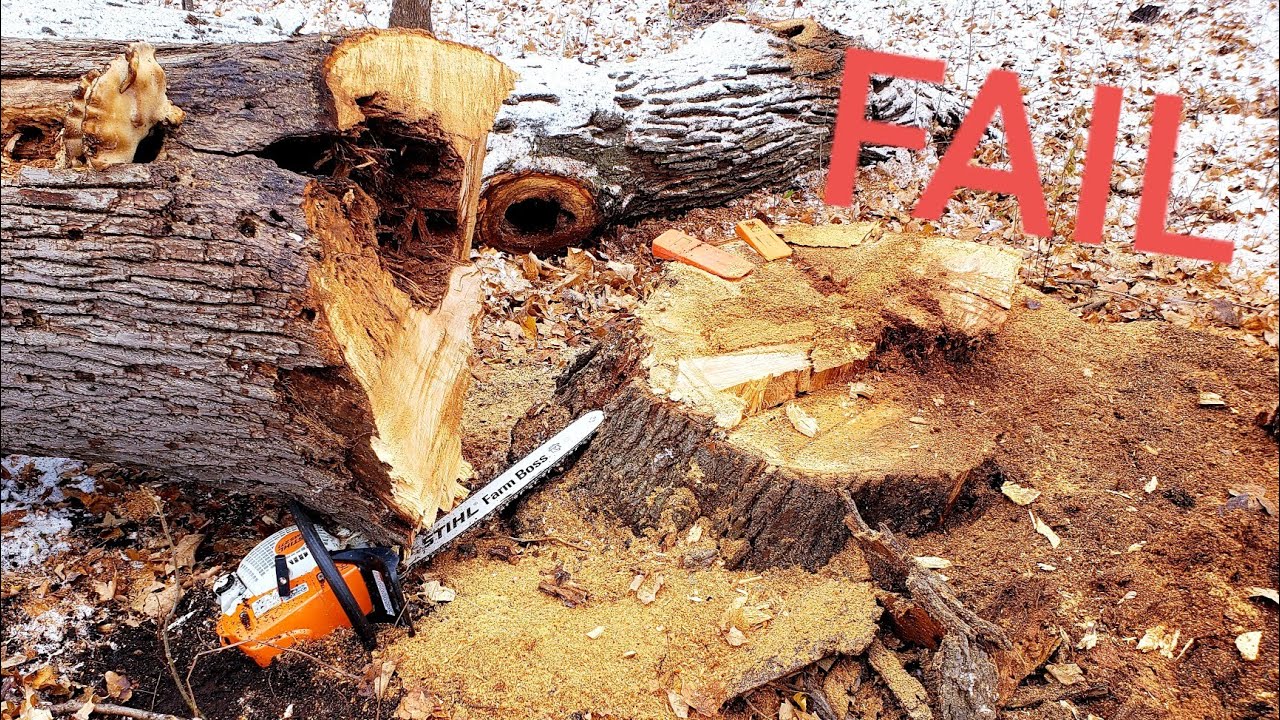 How Not To Fell A Tree Chainsaw Fail Tree Fell On My Chainsaw