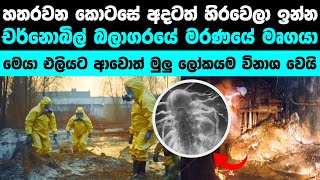 හතරවන කොටසේ ඉන්න මෘගයා කවුද? | Chernobyl: What's Under the 4th Block Now?