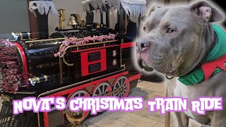 Nova Christmas Train Ride At The Mall 🚂🐾❤️ #adorabledog #americanbullybreed