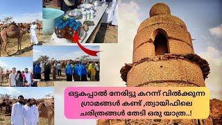 A great Taif trip / ഒട്ടകപ്പാലും മൂത്രവും വിൽക്കുന്ന ത്വായിഫിലെ ഗ്രാമങ്ങൾ കണ്ടിട്ടുണ്ടോ ?