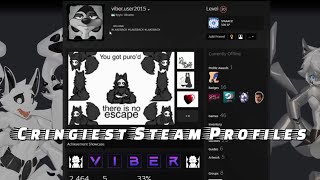 The Cringiest Steam Profiles