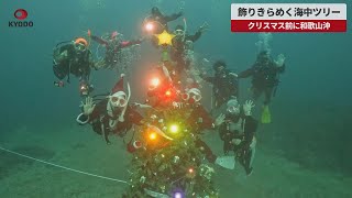 【速報】飾りきらめく海中ツリー クリスマス前に和歌山沖