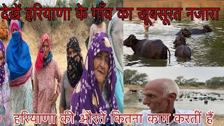 Haryana Village womens’ Life /ਹਰਿਆਣੇ ਦੀਆਂ ਔਰਤਾਂ ਨਾਲ ਮੱਝਾਂ ਦੀ ਦੇਖ-ਭਾਲ ਬਾਰੇ ਗੱਲਾਂ #beanttulewal #dairy