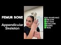 Appendicular Skeleton: Femur Bone