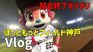 【Vlog】ギリギリでいつも生きていたいベルオタの一日　#ほっともっとフィールド神戸