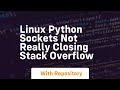 linux python sockets not really closing stack overflow