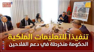 تنفيذا للتعليمات الملكية السامية... الحكومة منخرطة في دعم الفلاحين ومربي الماشية