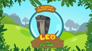 Leo, az ifjú vadőr - A szumátrai köpködő kobra