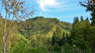 【登山】再び坂戸山へ！