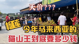 [cici vlog]马来西亚的榴莲季节到了｜跟我一起去买榴莲吧｜今年的猫山王贵不贵？｜好久没有吃榴莲了，不知道现在的榴莲价格是多少｜马来西亚的榴莲有多少品种｜榴莲迷有福了