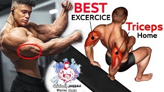 تمارين الترايسبس بدون معدات وفي المنزل كمال الاجسام | Triceps Exercises at Home