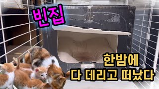 무슨일이 있었던거지? 아침에 다 사라졌다….