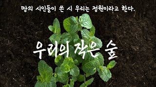 우리의 작은 숲 '정원'을 피워내는 국립세종수목원