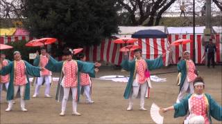 くまがや鳴子会　熊舞（桜花爛漫・Ⅰ）＠2015　くまがや桜よさこい