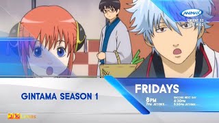 Animax Asia continuity [September 6, 2022]