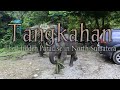 Objek Wisata Medan Tangkahan #gzvlog