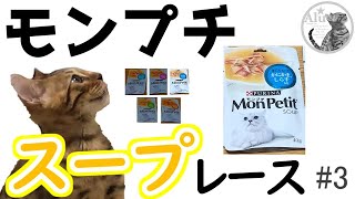 【ベンガル猫】モンプチスープレース#3【ごはん動画】