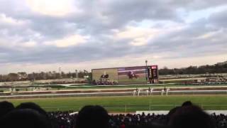 第57回 G1有馬記念 (2012/12/23)  57th Arima Kinen Horse Race, JRA 2012