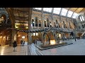 Natural History Museum London & नेपाली || ArtisticMonkey