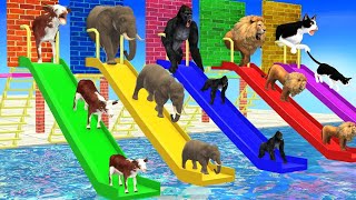 Don’t Break The Wrong Wall with LONG SLIDE Elephant, Cow, Lion, Gorilla, Cat Wild Animals Cage Game