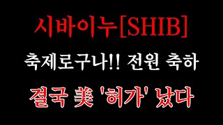 [ 시바이누 코인 ] 보유자 전원 축제분위기!!! 결국 '허가' 났습니다!!