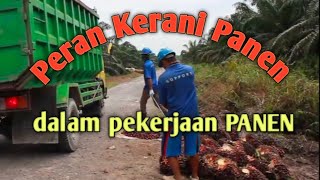 Peran Kerani Panen dalam pekerjaan PANEN