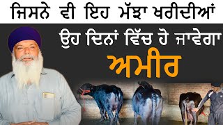 12 ਫ਼ਰਵਰੀ 2025📞8872962965👉ਇੱਕ ਲੱਖ 5ਹਜਾਰ ਤੋਂ ਸੇਲ