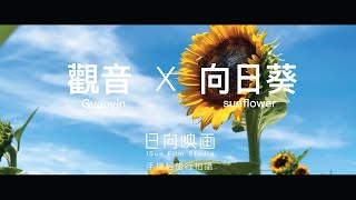 旅行台灣｜觀音Ｘ向日葵 Mobile Travel Videos,Taiwan