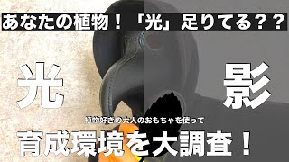 新アイテム「照度計」で植物生育環境調査したらまさかの結果に・・