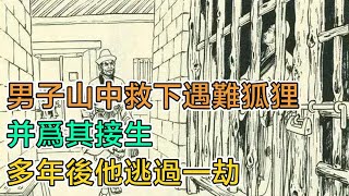 民間故事：男子山中救下遇難狐狸，並爲其接生，多年後他逃過一劫