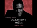 marvin gaye vs mtume sexual fruit audiosavage mashup