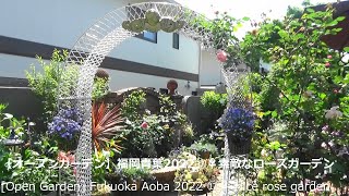 【オープンガーデン】福岡青葉2022⑰🌹素敵なローズガーデン[Open Garden] Fukuoka Aoba 2022 ⑰🌹 Nice rose garden