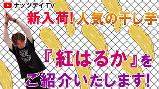 圧倒的人気！国産の干し芋【紅はるか】をご紹介致します🤩