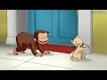 Georges le Petit Singe 🐵 George le Petit Curieux apprend à connaître les autres animaux! 🐵