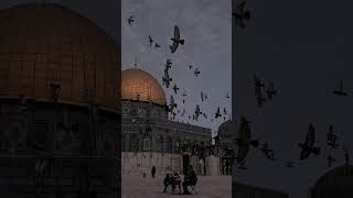 Masjid Aqsa 😱#viral #live #newvideo #status #religion #trending #shorts #short #new #2023 #story
