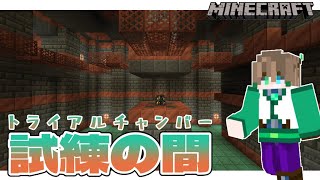 【#Minecraft/JAVA版】トライアルチャンバー殴り込み回【柊木スイ/Vtuber】