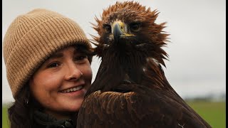 Survival depends on the right decisions, eagle hunt in Belgium.