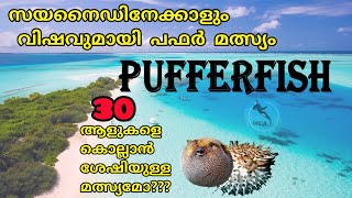 Pufferfish -The second most poisonous fish-Malayalam